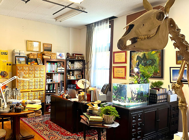 ザ・ロイヤルファミリー