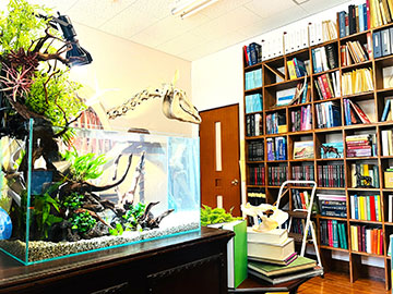 ザ・ロイヤルファミリー