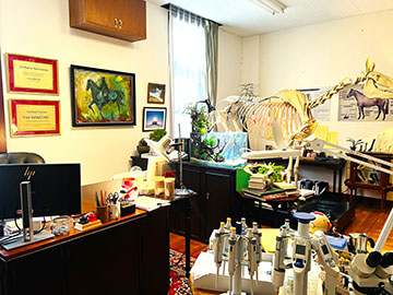 ザ・ロイヤルファミリー