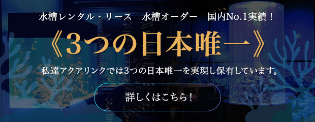 水槽レンタル 水槽オーダー 国内No.1実績！