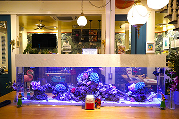南国の店内に170cmの海水魚水槽！