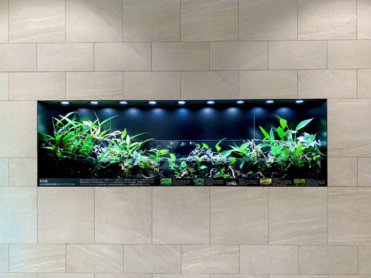 エントランスの一角に完全オーダー水槽を導入!