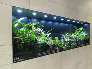 エントランスの一角に完全オーダー水槽を導入!