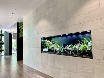 エントランスの一角に完全オーダー水槽を導入!