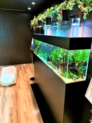 あの有名企業と再びコラボ!