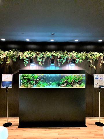 あの有名企業と再びコラボ!