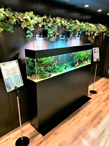 あの有名企業と再びコラボ!