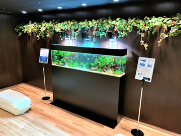 あの有名企業と再びコラボ!