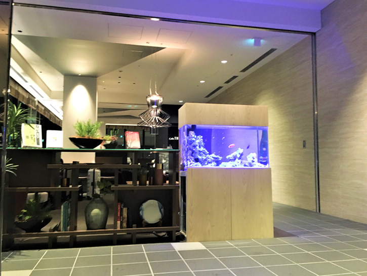 東京の有名ホテルに水槽を設置!