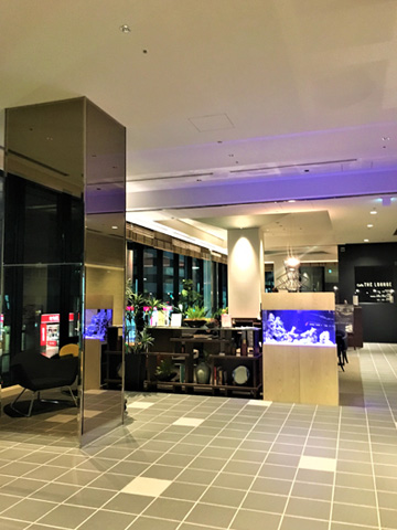 東京の有名ホテルに水槽を設置!