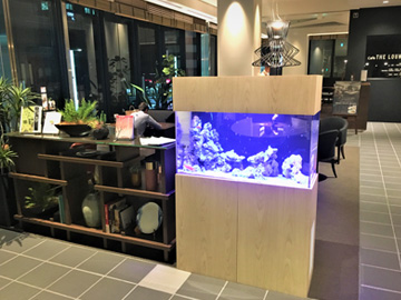 東京の有名ホテルに水槽を設置!