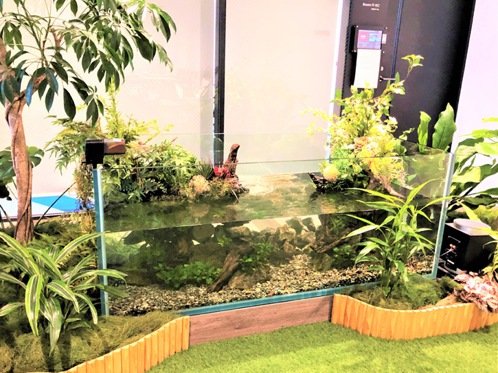 あの超有名企業のオフィスの休憩スペースに小川を再現!