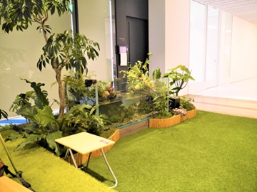 あの超有名企業のオフィスの休憩スペースに小川を再現!