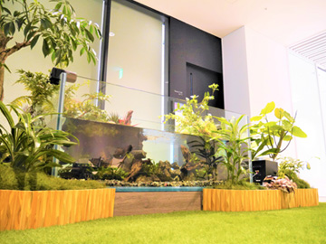 あの超有名企業のオフィスの休憩スペースに小川を再現!