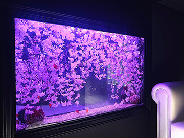 既存のデザイナーズ造花水槽をまたまたリニューアル！