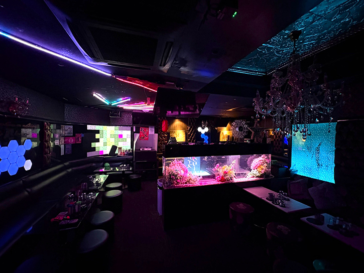 ナイト系のお店に造花水槽!