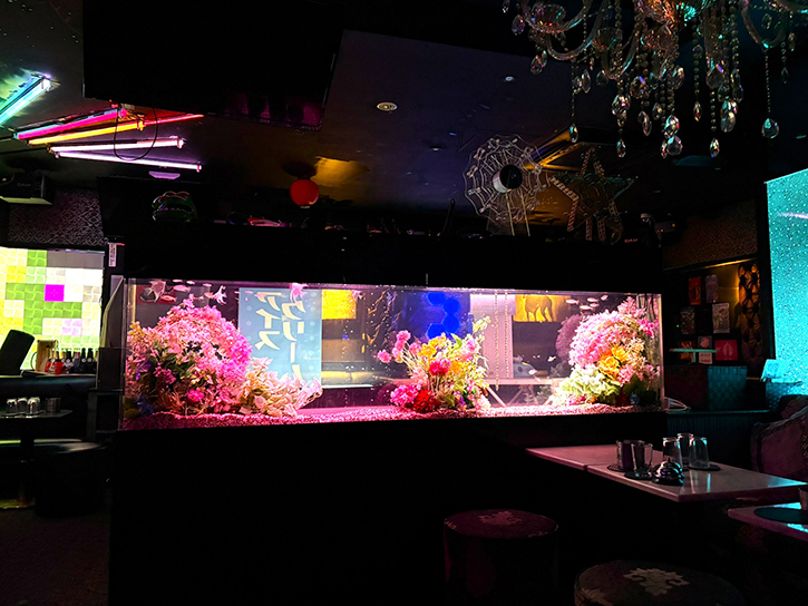 ナイト系のお店に造花水槽!