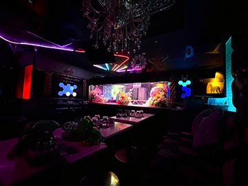 ナイト系のお店に造花水槽!