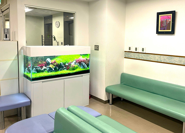 水草が美しいネイチャーアクアリウム水槽