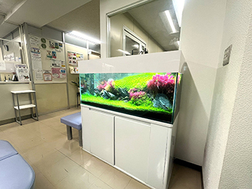 水草が美しいネイチャーアクアリウム水槽