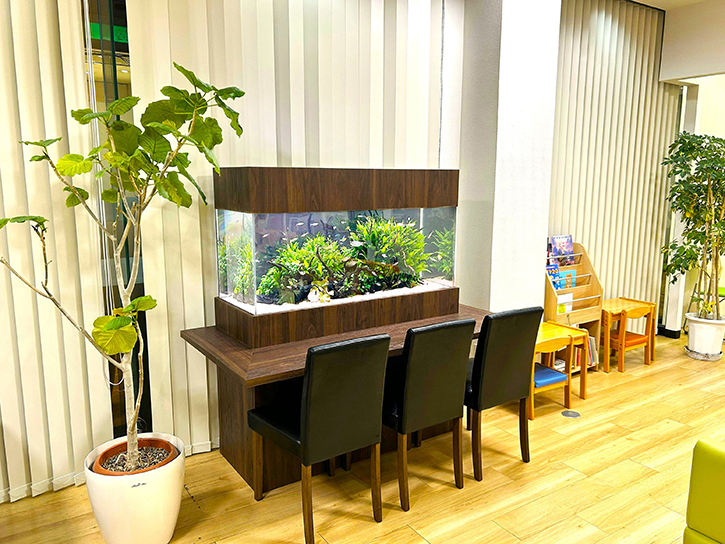 座ってゆっくり観察できる水草水槽!