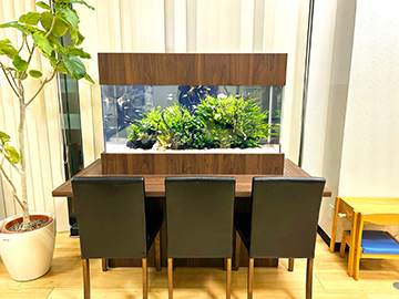 座ってゆっくり観察できる水草水槽!