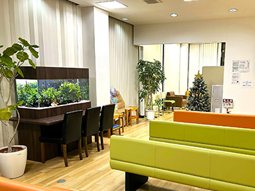 座ってゆっくり観察できる水草水槽!