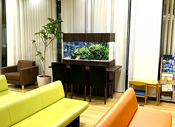 座ってゆっくり観察できる水草水槽!