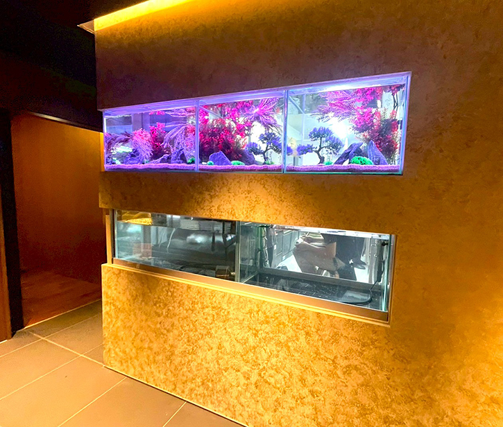 合計5台の水槽を設置!