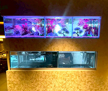 合計5台の水槽を設置!