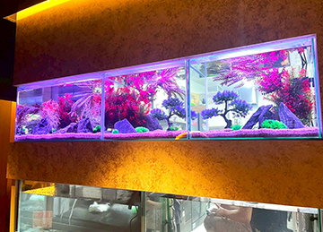 合計5台の水槽を設置!