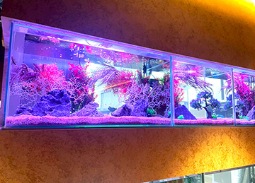 合計5台の水槽を設置!