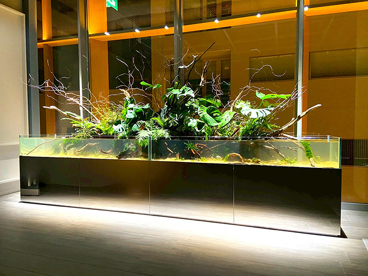 まるで1台の水槽に見えるテラリウム水槽!