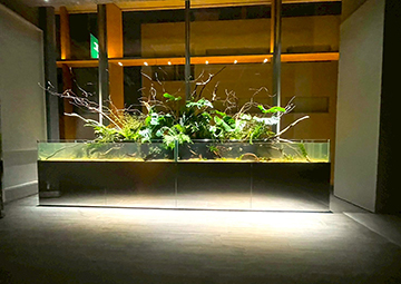 まるで1台の水槽に見えるテラリウム水槽!