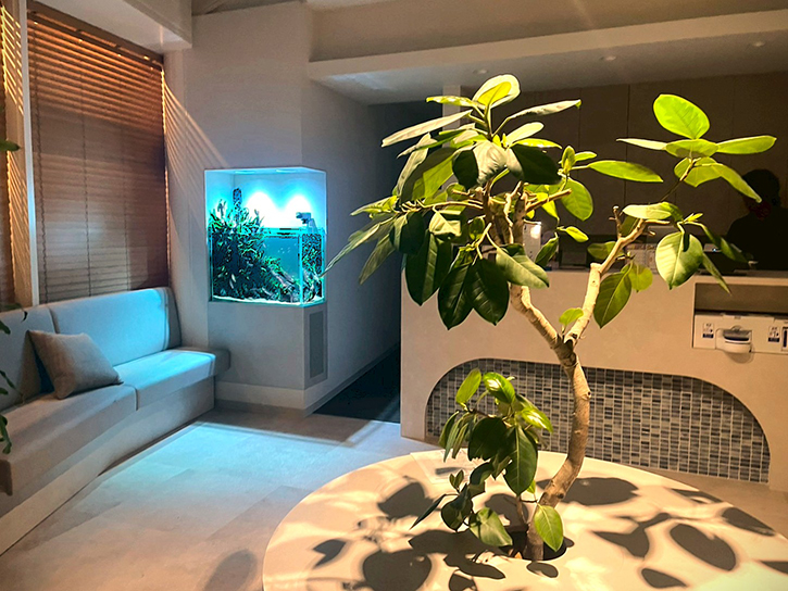 歯科医院に水草水槽を設置!