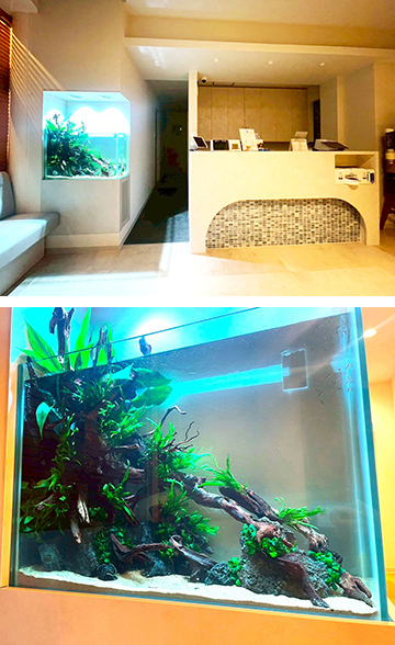 歯科医院に水草水槽を設置!