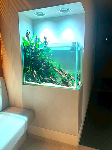 歯科医院に水草水槽を設置!