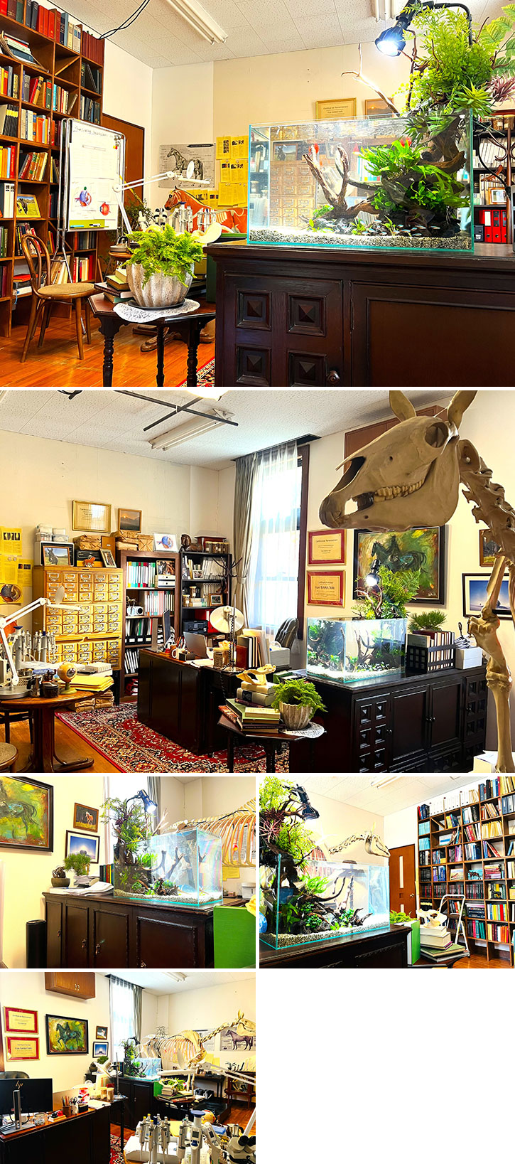 ザ・ロイヤルファミリー